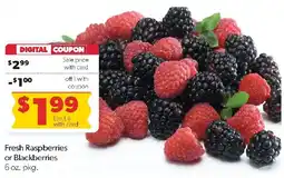 Family Fresh Market Fresh Raspberries or Blackberries offer