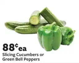 Fareway Slicing Cucumbers or Green Bell Peppers offer