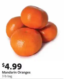Fareway Mandarin Oranges offer