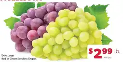 Family Fresh Market Extra Large Red or Green Seedless Grapes offer