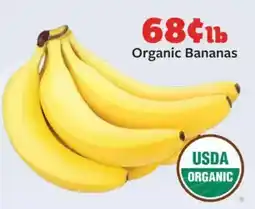 Fareway Organic Bananas offer