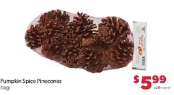 Family Fresh Market Pumpkin Spice Pinecones bag offer