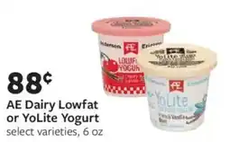 Fareway AE Dairy Lowfat or YoLite Yogurt offer