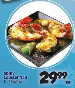 Times Supermarkets Spiny Lobster Tail offer