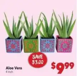 Vallarta Supermarkets Aloe Vera offer