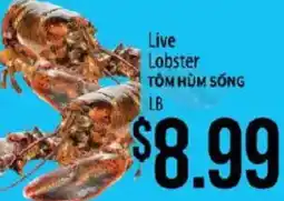 Hmart Live Lobster offer