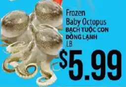 Hmart Frozen Baby Octopus offer