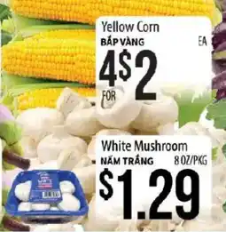 Hmart Yellow Corn offer