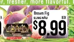 Hmart Brown Fig offer
