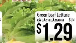 Hmart Green Leaf Lettuce offer