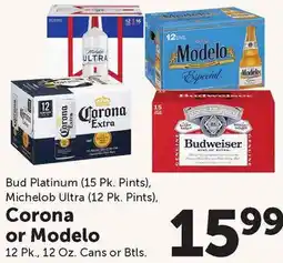 Food City Bud Platinum, Michelob Ultra, Corona or Modelo offer