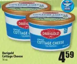 Times Supermarkets Darigold Cottage Cheese offer