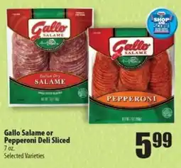 Times Supermarkets Gallo Salame or Pepperoni Deli Sliced offer