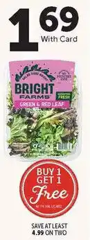 Food City Bright Farms green & red leaf offer