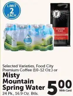 Food City Misty Mountain Spring Water offer