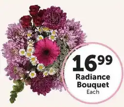 Food City Radiance Bouquet offer