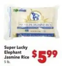 Vallarta Supermarkets Super Lucky Elephant Jasmine Rice offer