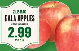 Lowes Foods Gala Apples offer