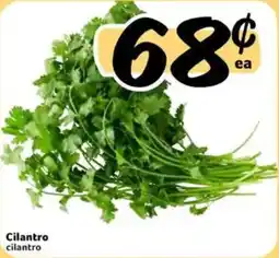 Fresco y Más Cilantro cilantro offer