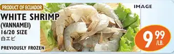 White Shrimp (Vannamei)