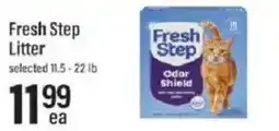 Lowes Foods Fresh Step Litter offer
