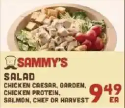 Lowes Foods Sammy's salad offer