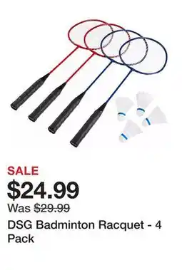 Dick's Sporting Goods DSG Badminton Racquet offer