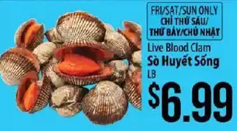 Live Blood Clam
