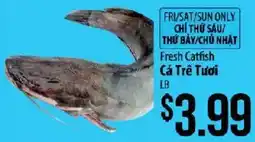 Hmart Fresh Catfish offer