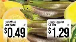 Hmart Hami Melon offer