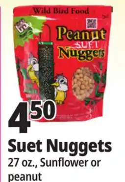 Ocean State Job Lot Suet Nuggets offer