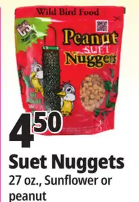 Ocean State Job Lot Suet Nuggets offer