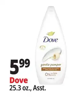 Ocean State Job Lot Dove offer