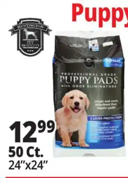 Ocean State Job Lot 24x24 Puppy Pads with Odor Eliminators 50 Count offer