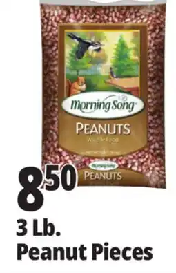 Ocean State Job Lot Audubon Peanut Pieces Bird Seed 3lb offer