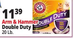 Ocean State Job Lot Arm & Hammer Double Duty Clumping Litter 20 lbs offer