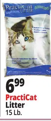 Ocean State Job Lot Premium Scoopable Cat Litter 15 lbs offer
