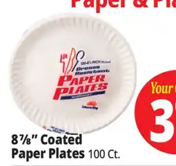 Ocean State Job Lot Leisure Way Paper Plates 100 ct 8.875 offer
