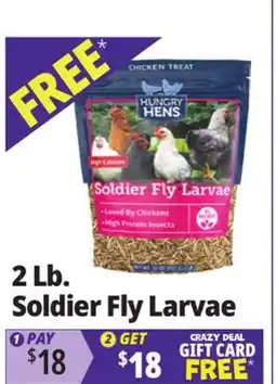 Ocean State Job Lot Hungry Hens Soldier Fly Larvae 2 lbs offer