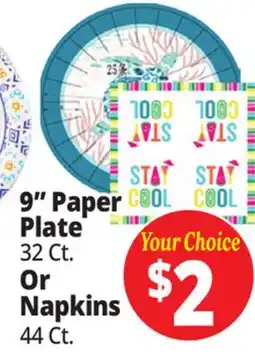 Ocean State Job Lot 9 Paper Paper Plate 32 Ct. Or Napkins 44 Ct offer