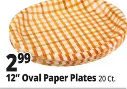Ocean State Job Lot 12 Oval Paper Plates offer