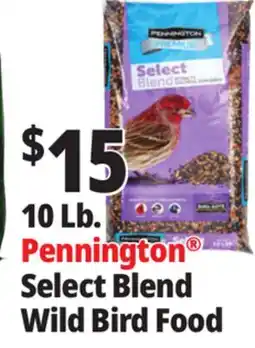 Ocean State Job Lot Pennington Premium Select Blend Bird Seed 10 lb offer