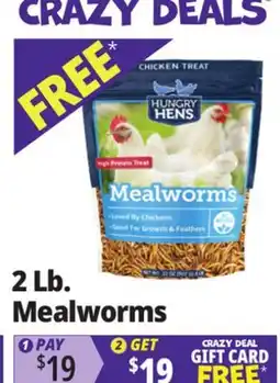 Ocean State Job Lot Hungry Hens Mealworms 2 lbs offer