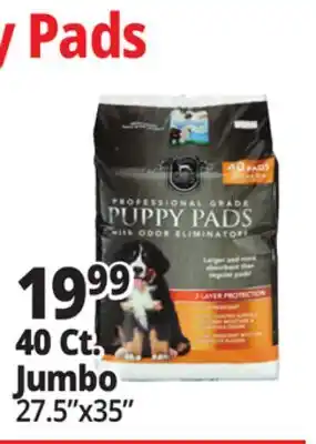 Ocean State Job Lot Huntington Pet Products Professional Grade 27.5 x 35 Puppy Pads with Odor Eliminators 40 Count offer