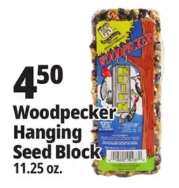 Ocean State Job Lot Woodpecker Hanging Seed Block offer
