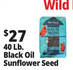Ocean State Job Lot Black Oil Sunflower Seeds 40 lbs offer