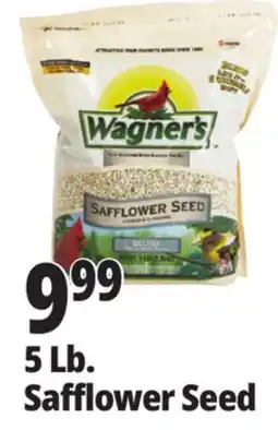 Ocean State Job Lot Wagner's Safflower Seed Deluxe Wild Bird Food offer