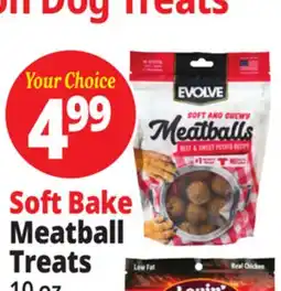 Ocean State Job Lot Soft Bake Meatball Treats offer