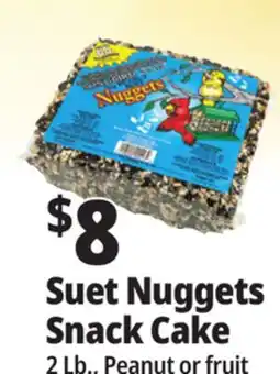 Ocean State Job Lot Suet Nuggets Snack Cake offer