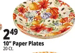 Ocean State Job Lot 10 Paper Plates offer
